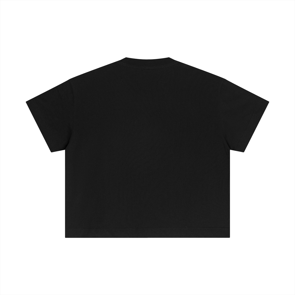 cotton,boxy,essential,minimalist,streetwear,255gsm,fw26